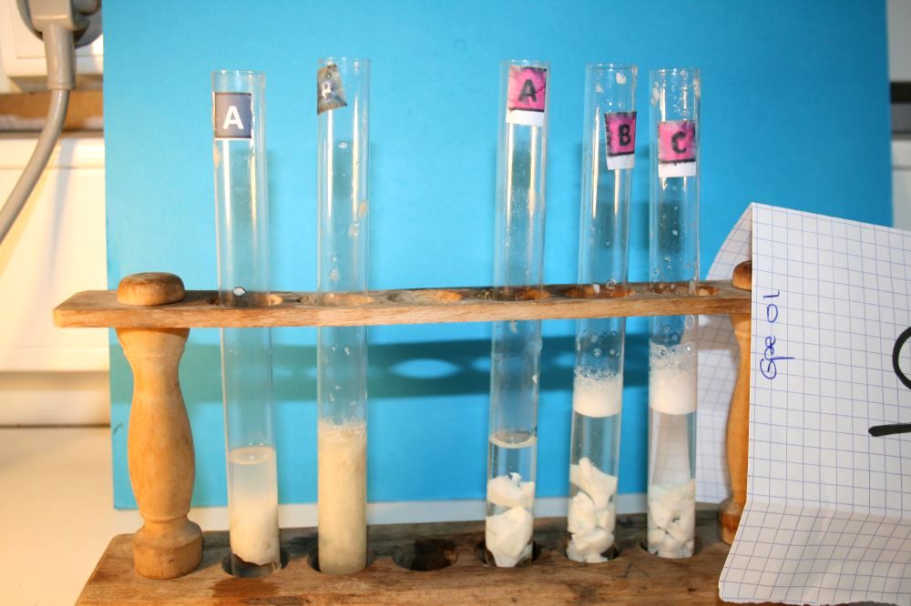 gal/LES_CINQUIEMES/ACTIVITE DIGESTION IN VITRO/Groupe_01/Groupe01_T_00h20min/Groupe01_temps00H20min_20.jpg